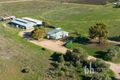Property photo of 693 Thiele Road Loveday SA 5345