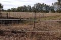 Property photo of 5 Mitchell Road Kialla VIC 3631