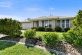 Property photo of 53 Gainsborough Crescent Peregian Springs QLD 4573