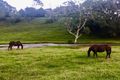 Property photo of 128 Syndicate Road Tallebudgera QLD 4228