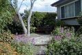 Property photo of 4 Cambra Road Belmont VIC 3216