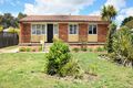 Property photo of 19 Robinson Avenue Glen Innes NSW 2370