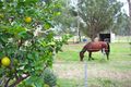 Property photo of 732 Nicholson Road Forrestdale WA 6112