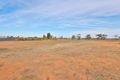 Property photo of 17 River Road Coomealla NSW 2717