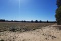 Property photo of 156 Ocean View Parade Jurien Bay WA 6516