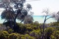 Property photo of 59 Sussex Road Rye VIC 3941