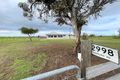 Property photo of 2998 Narrung Road Narrung SA 5259