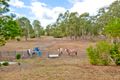Property photo of 53 Penola Road Allenview QLD 4285