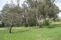 Property photo of 45 Rules Road Young NSW 2594