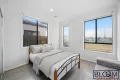 Property photo of 14 Eddy Crescent Tarneit VIC 3029