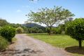 Property photo of 145 Smiths Road Wights Mountain QLD 4520