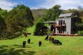 Property photo of 666 Scone Road Copeland NSW 2422