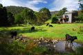 Property photo of 666 Scone Road Copeland NSW 2422