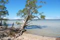 Property photo of 27-29 Charlotte Drive Weyba Downs QLD 4562