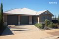 Property photo of 3 Wood Street Andrews Farm SA 5114