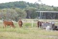 Property photo of 55 San Jose Road Marmor QLD 4702