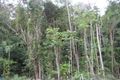 Property photo of 5 Tully Court Kuranda QLD 4881