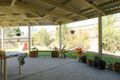 Property photo of 51 Gawain Drive Ormeau QLD 4208