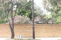 Property photo of 206-208 Bluff Road Sandringham VIC 3191