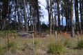 Property photo of 3199 Victoria Valley Road Victoria Valley TAS 7140