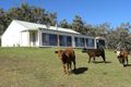Property photo of 29 Nugget Close Wyangala NSW 2808
