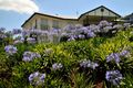 Property photo of 47 Paradise Drive Tamborine Mountain QLD 4272