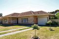 Property photo of 89 White Avenue Lockleys SA 5032