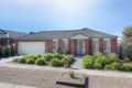 Property photo of 7 Trumper Crescent Sunbury VIC 3429