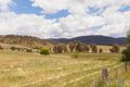 Property photo of 14 Mount View Michelago NSW 2620