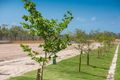 Property photo of 6 Merivale Street Jensen QLD 4818