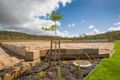 Property photo of 6 Merivale Street Jensen QLD 4818
