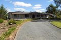 Property photo of 23 Steer Street Mundulla SA 5270