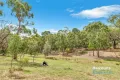 Property photo of 8 Forbes Road Aldgate SA 5154