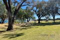 Property photo of 6 Cecily Street Bluff Point WA 6530