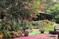 Property photo of 15 Rainforest Drive Mitchells Island NSW 2430