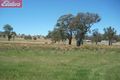 Property photo of 13 Beartooth Place Tangambalanga VIC 3691