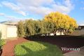 Property photo of 27 Boree Drive Swan Hill VIC 3585