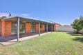 Property photo of 12 Lisa Court Mildura VIC 3500