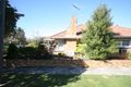 Property photo of 101 Minerva Road Herne Hill VIC 3218