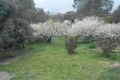 Property photo of 18-20 Britannia Street Reids Flat NSW 2586