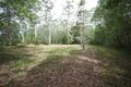 Property photo of 781 Ringtail Creek Road Pomona QLD 4568