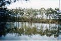 Property photo of 48-50 Golding Grove Wyong NSW 2259
