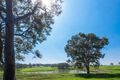 Property photo of 18 Wicklow Road Chisholm NSW 2322