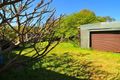 Property photo of 87 First Avenue Campsie NSW 2194
