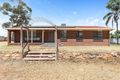 Property photo of 52-54 Hankinson Street Narrandera NSW 2700