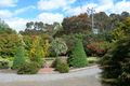 Property photo of 28 Cable Street Macedon VIC 3440