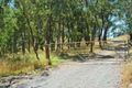 Property photo of 22 Gatters Road Wonga Park VIC 3115
