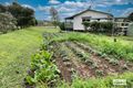Property photo of 167 Abel Road Lower Wonga QLD 4570