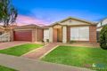 Property photo of 31 Lynbridge Crescent Tarneit VIC 3029