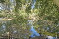 Property photo of 26 Baloo Crescent Nerang QLD 4211